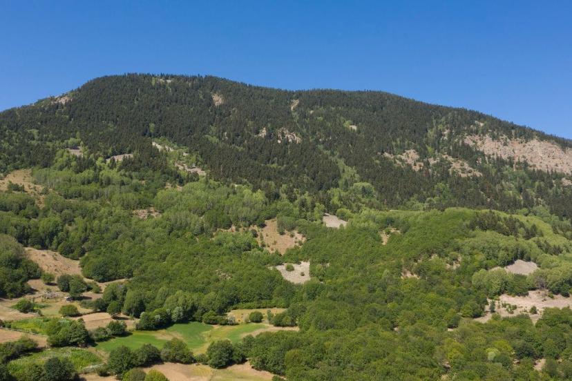 Bazı illerde ormanlara giriş yasağı