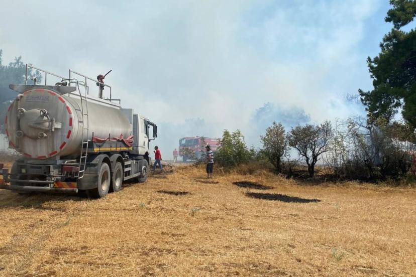 Çanakkale'de orman yangını kontrol altında