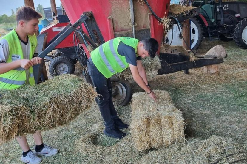 Erzincan'da liseli gençler, köy hayatını deneyimliyor