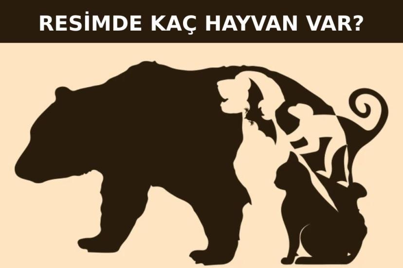 IQ testi: Resimde toplam kaç hayvan var? 7 saniyede bulan dahi çıkıyor