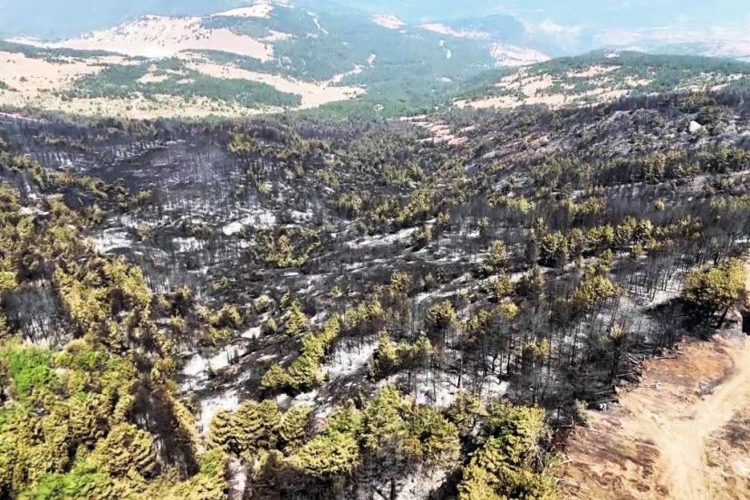 Karabük’te orman yangınının ardından geriye siyah alanlar kaldı
