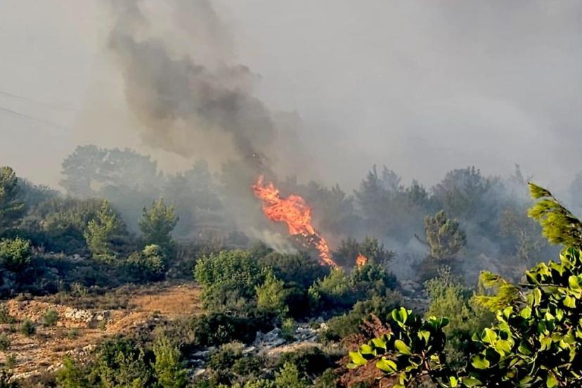 Mersin'deki orman yangınına müdahale sürüyor