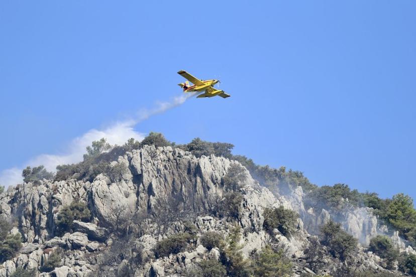 Muğla'da çıkan orman yangınına müdahale ediliyor