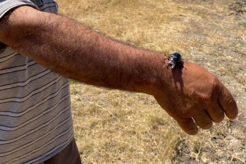 Öldürmenin cezası 557 bin TL: Duyan elini bile sürmüyor...