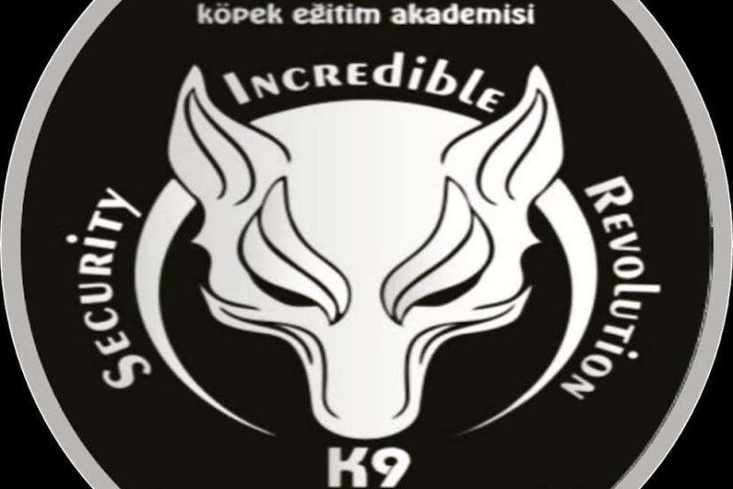 S.I.R K9 Köpek Eğitim Akademisi: Köpek Eğitiminde Mükemmeliyet ve İnovasyon