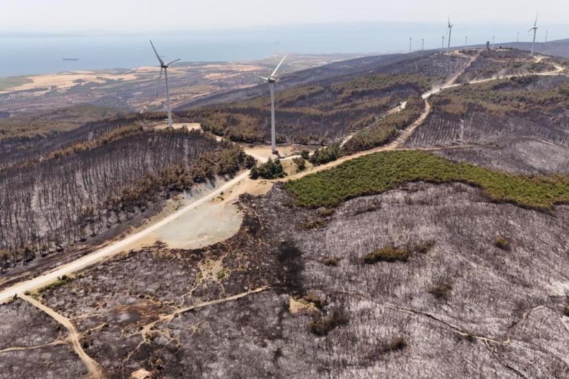 Tekirdağ'da çıkan yangında tahribatın boyutu havadan görüntülendi