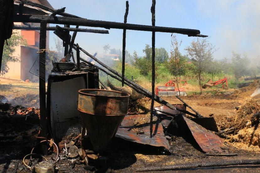 Tokat'ta çıkan yangında tonlarca buğday yandı, 7 büyükbaş öldü
