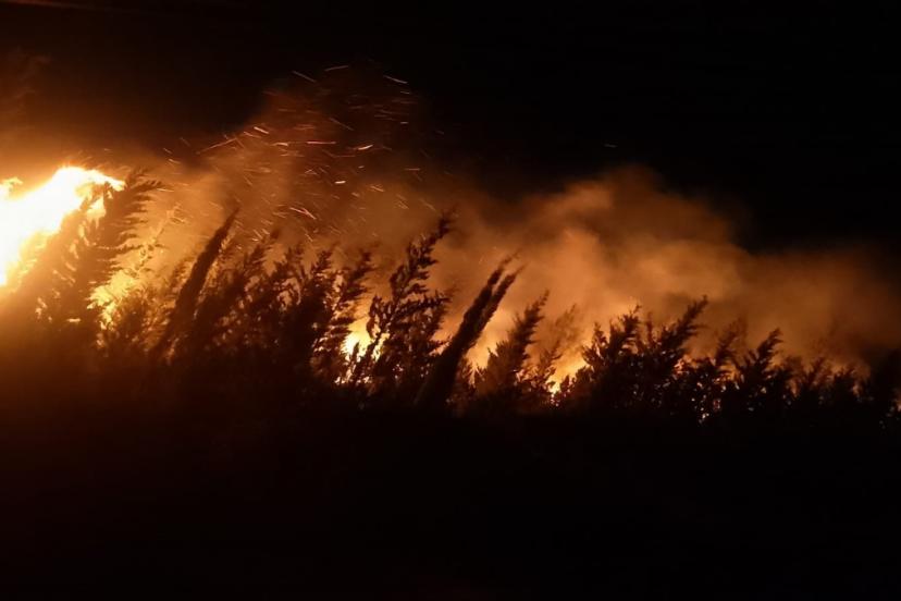 İzmir'in Urla ilçesinde çıkan yangın kontrol altına alındı